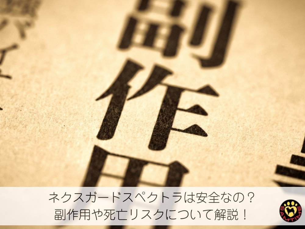 ネクスガードスペクトラは安全なの？副作用や死亡リスクについて解説！